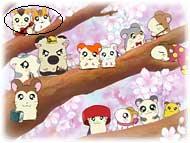 cherryblossom.jpg